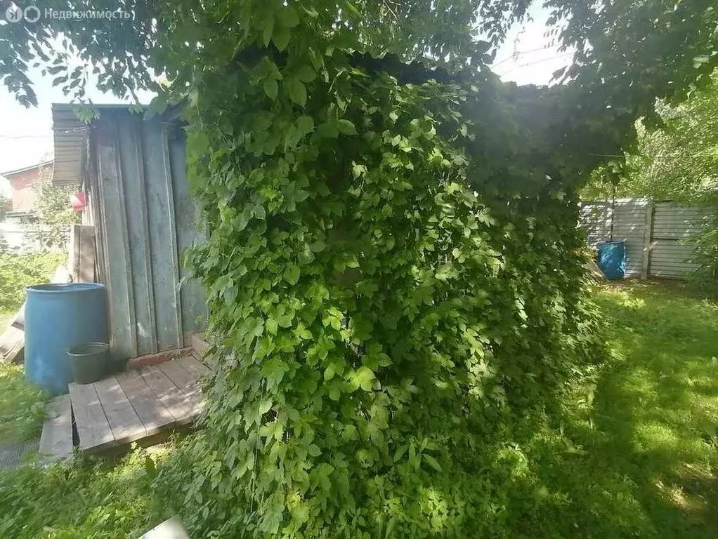 Дом в Благовещенск, посёлок Астрахановка, Садовая улица, 52 (35.2 м) - Фото 0