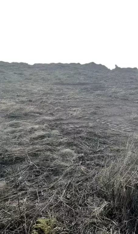 Участок в Тульская область, Тула городской округ, д. Иврово  (15.0 ... - Фото 1
