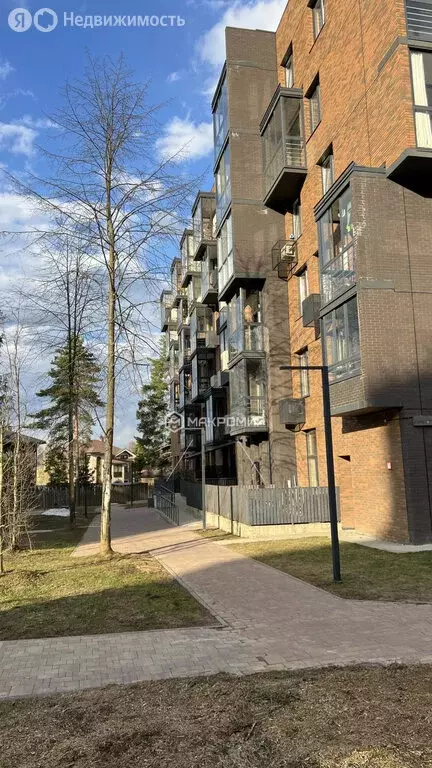 Квартира-студия: деревня Аристово, Северная улица, 7 (23 м) - Фото 1