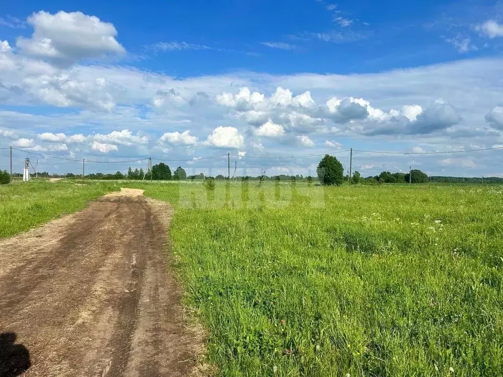 Участок в Вологодская область, Усть-Кубинский муниципальный округ, д. ... - Фото 1