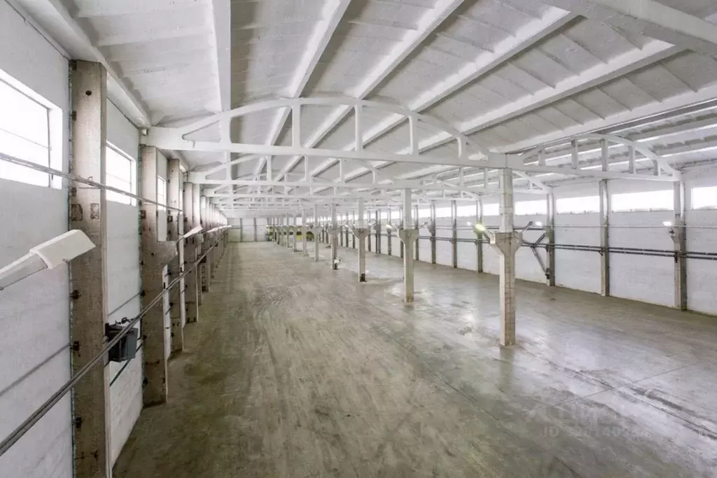 Склад в Новосибирская область, Новосибирск Станционная ул., 60/1к14 ... - Фото 1