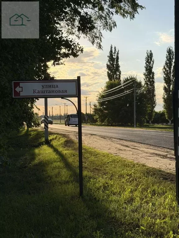Дом в Воронежская область, Рамонь рп ул. Каштановая, 20 (150 м) - Фото 1