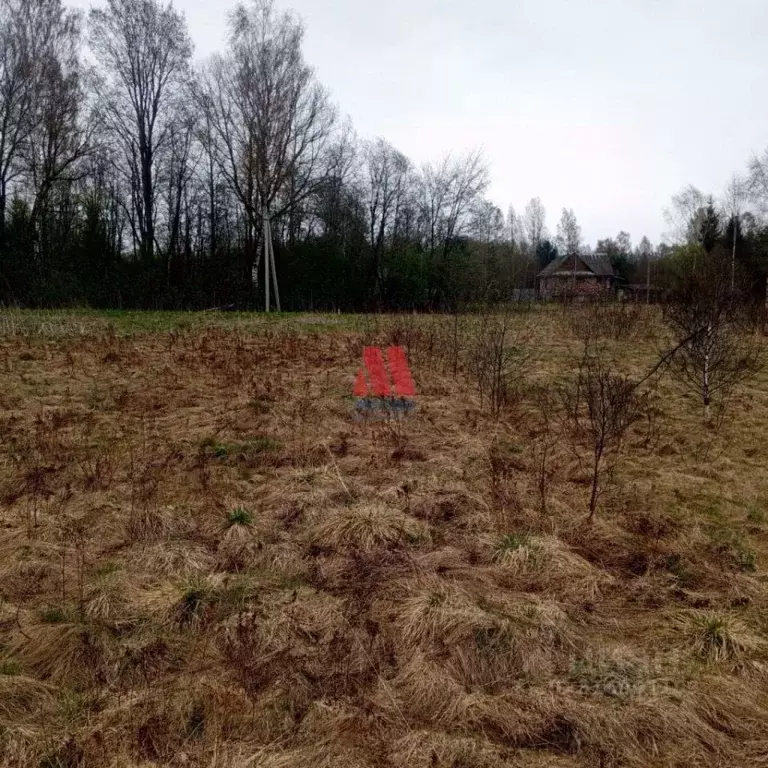 Участок в Ярославская область, Рыбинский муниципальный округ, ... - Фото 0