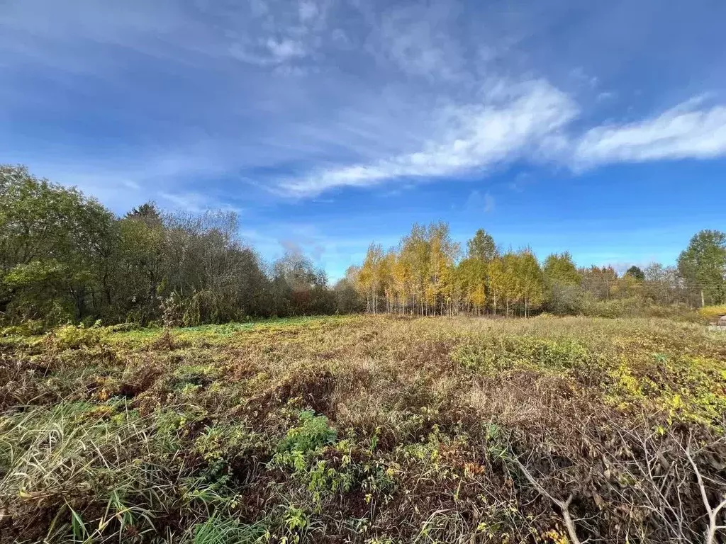 Участок в Вологодская область, пос. Надеево  (5.7 сот.) - Фото 2