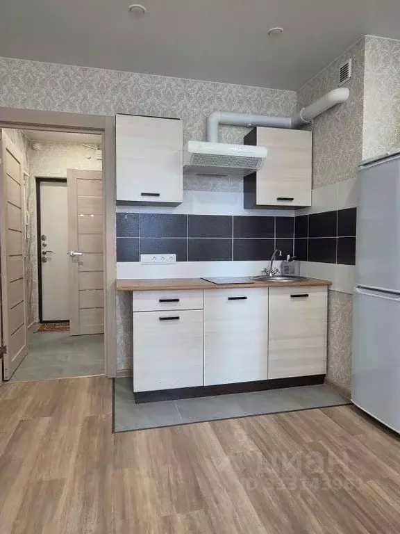 Студия Санкт-Петербург пос. Парголово, ул. Шишкина, 303к1 (24.0 м) - Фото 2
