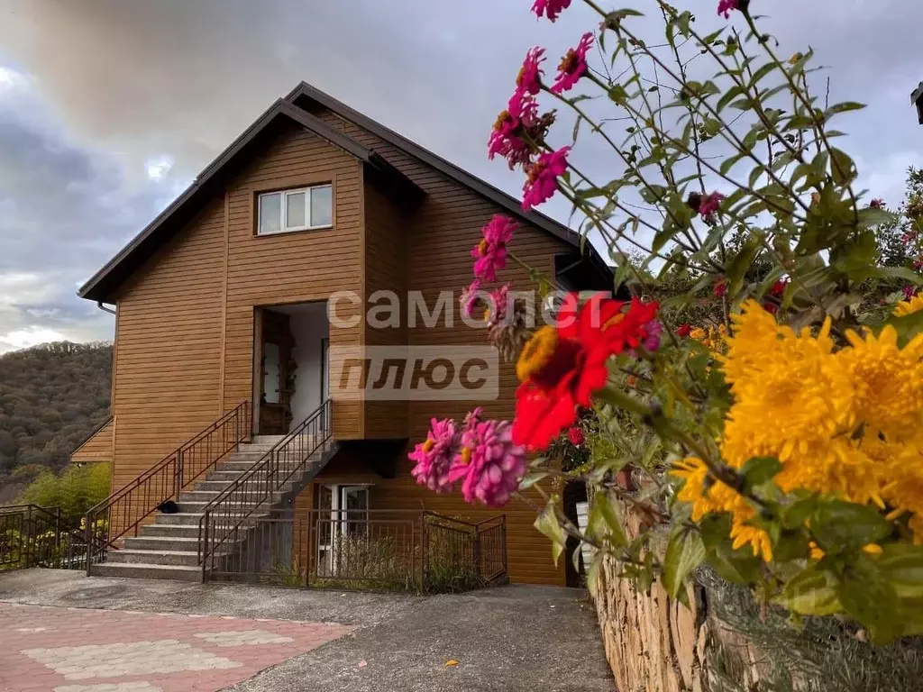 1-к кв. Краснодарский край, Сочи Кедровая ул., 1 (20.0 м) - Фото 1