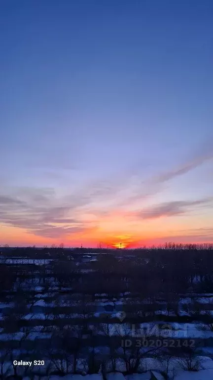 Участок в Омская область, Любинский район, с. Любино-Малороссы  (23.0 ... - Фото 1