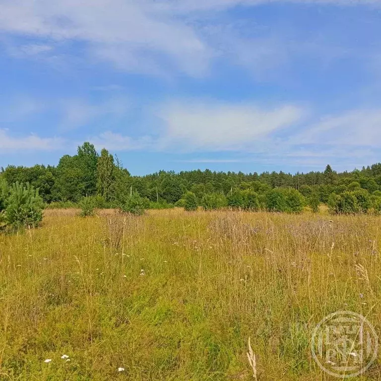 Участок в Карелия, Лахденпохский муниципальный округ, пос. Асилан  ... - Фото 1