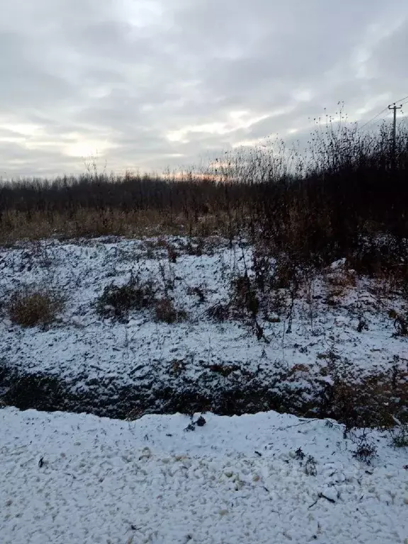 Участок в Ленинградская область, Ломоносовский район, д. Низино ул. ... - Фото 0