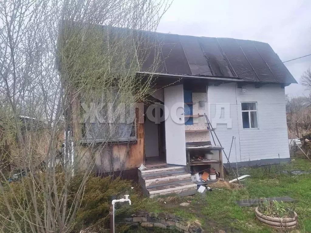 Участок в Новосибирская область, Новосибирск Лилия СНТ, ул. ... - Фото 0