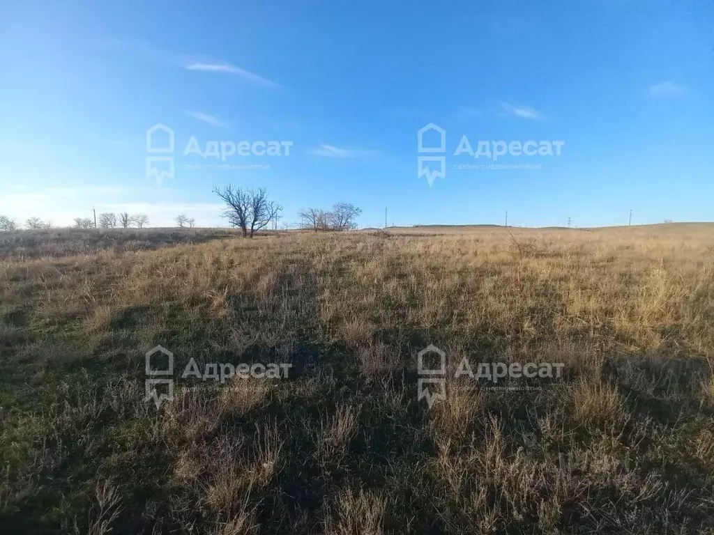 Участок в Волгоградская область, Городищенский район, Царицынское ... - Фото 1