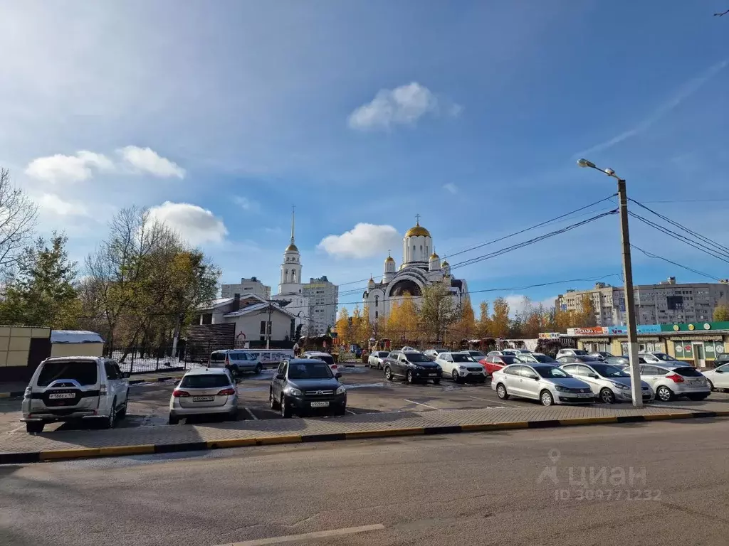 2-к кв. Воронежская область, Воронеж ул. Владимира Невского, 48 (92.0 ... - Фото 2