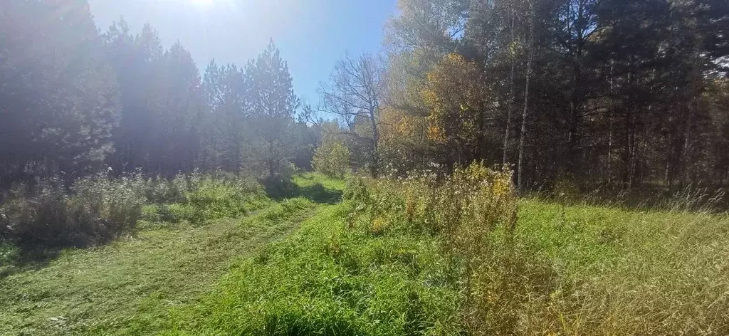 Участок в Алтайский край, Первомайский район, с. Фирсово  (13.0 сот.) - Фото 1