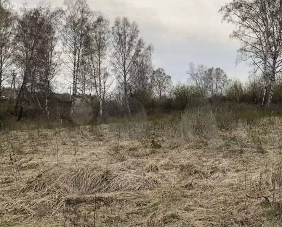 Участок в село Берёзово, Калиновая улица, 15 (15 м) - Фото 1