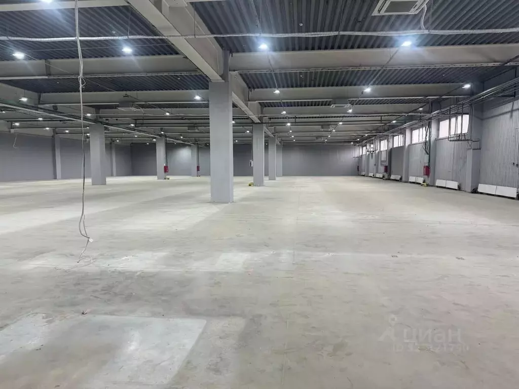 Помещение свободного назначения в Воронежская область, Воронеж ул. ... - Фото 1