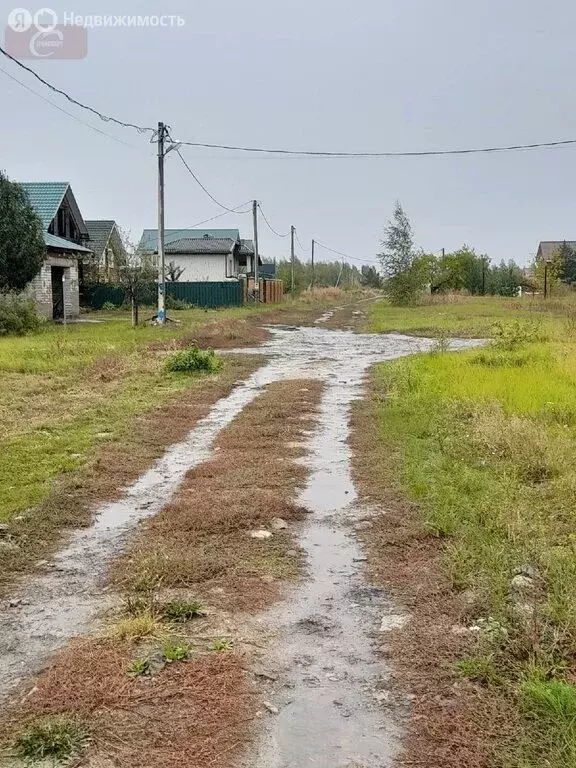 Участок в село Новая Усмань, улица Пятницкого (24 м) - Фото 0