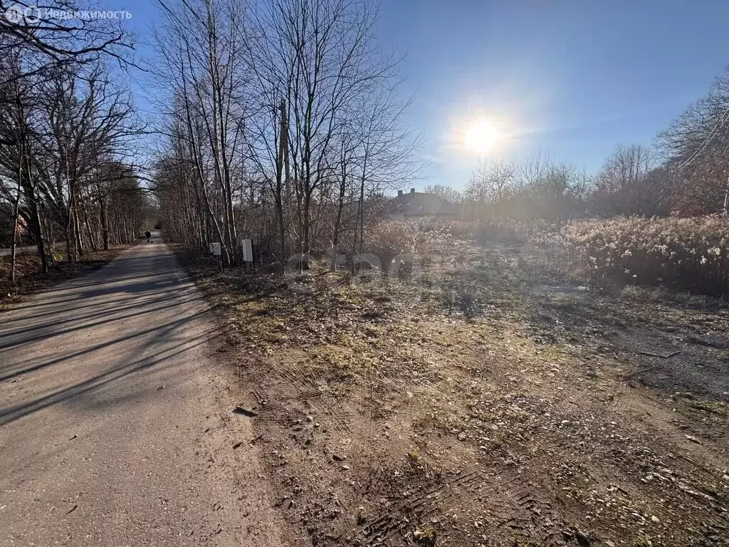 Участок в Светлогорск, Дубовая аллея (6.4 м) - Фото 2