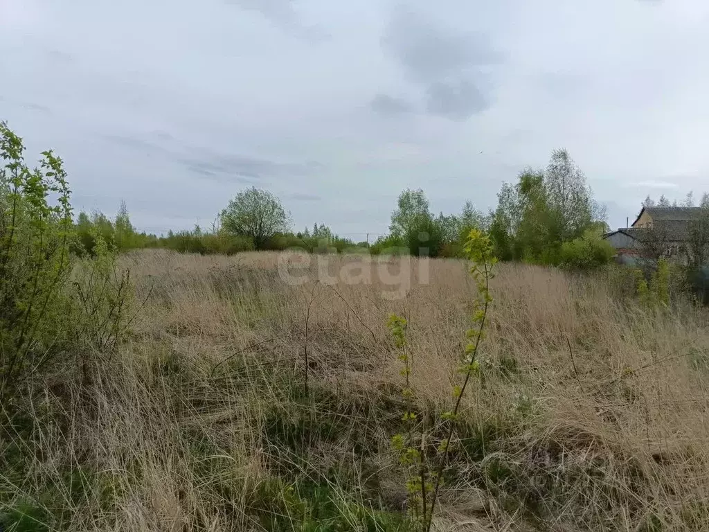 Участок в Тульская область, Донской Северо-Задонск мкр, Молодежная ул. ... - Фото 1