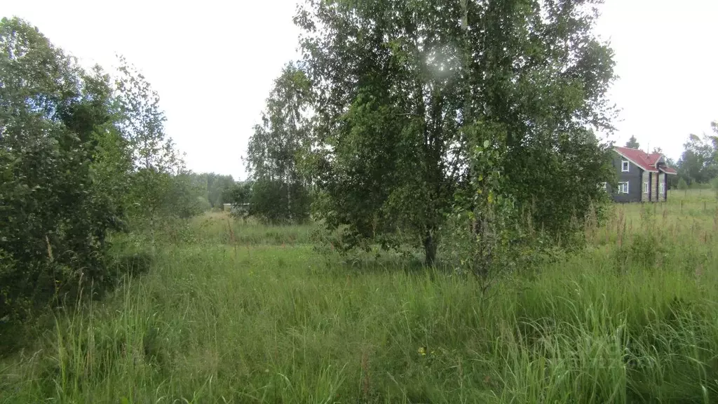 Участок в Московская область, Рузский муниципальный округ, д. Барынино ... - Фото 0
