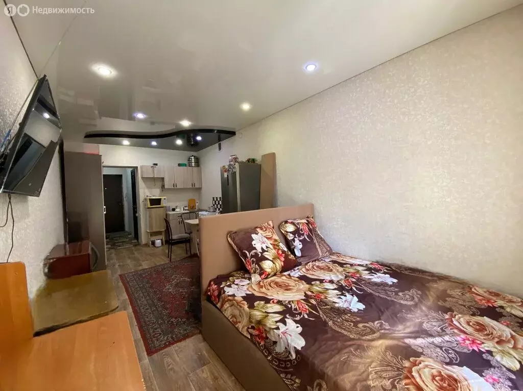 Квартира-студия: Абакан, улица Некрасова, 45 (26.8 м) - Фото 2