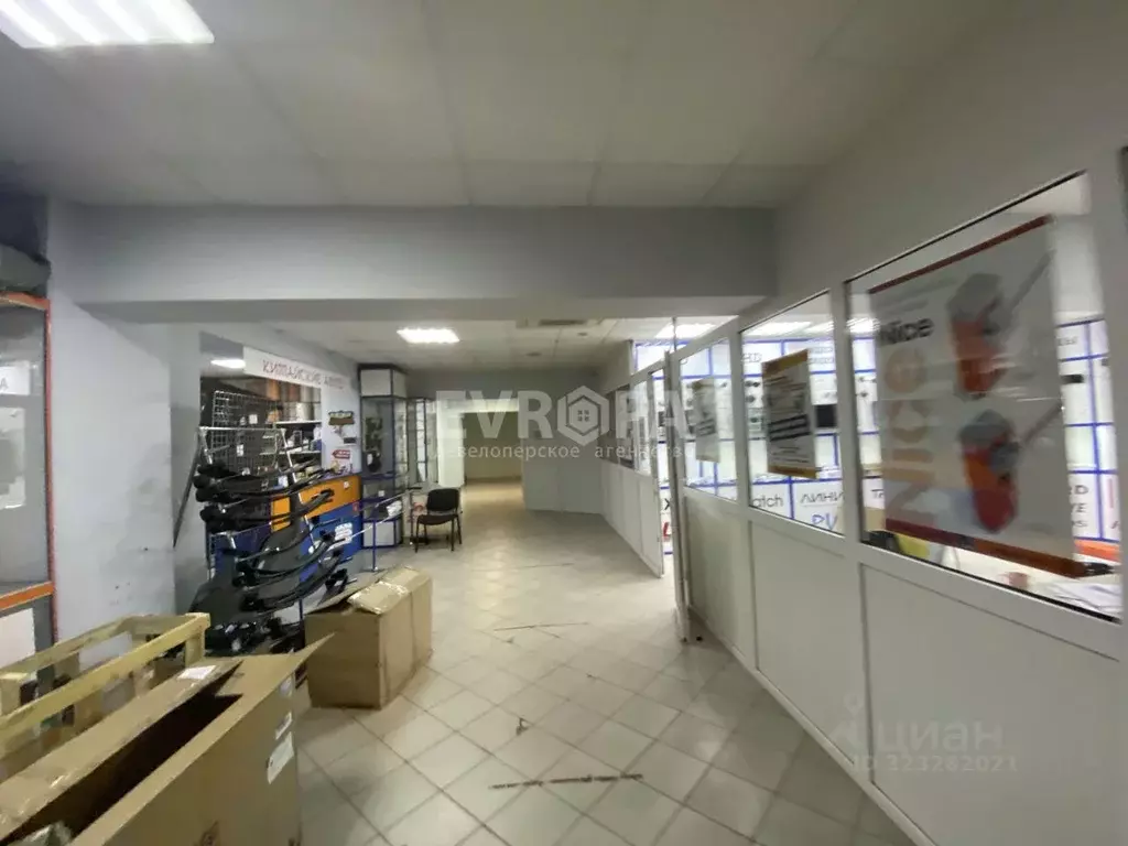 Торговая площадь в Ульяновская область, Ульяновск ул. Урицкого, 43А ... - Фото 2