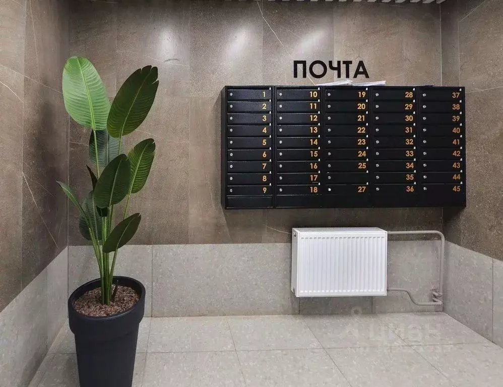 Студия Оренбургская область, Оренбург ул. Яицкая, 9 (29.91 м) - Фото 1