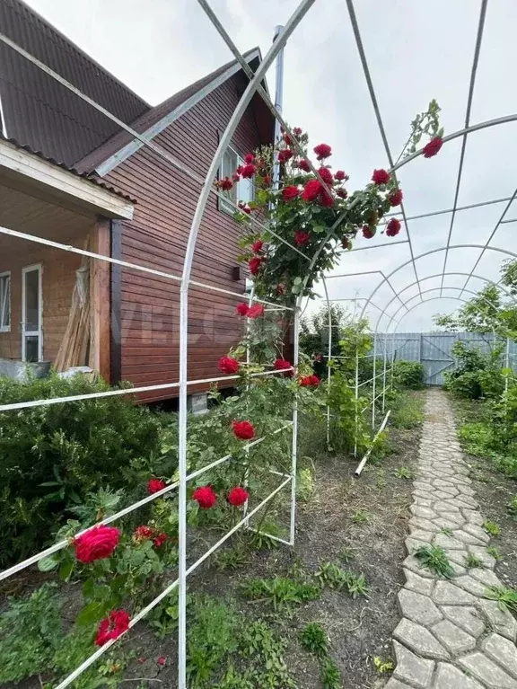 Дом в Краснодарский край, Анапа муниципальный округ, с. Цибанобалка ... - Фото 1