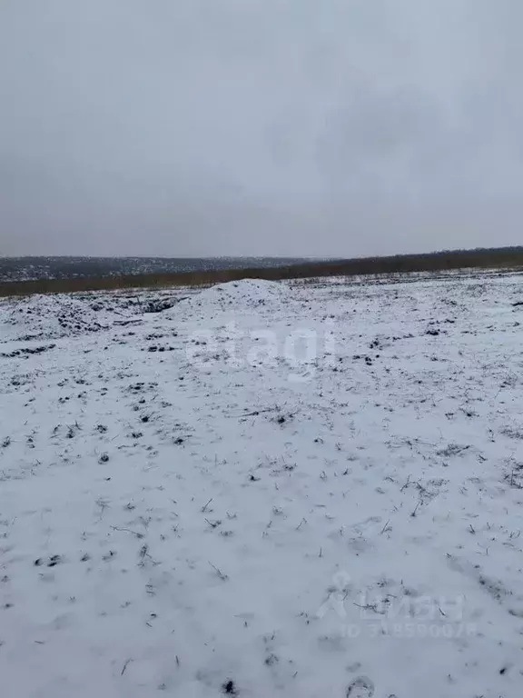 Участок в Белгородская область, Белгородский район, Головинское с/пос, ... - Фото 1