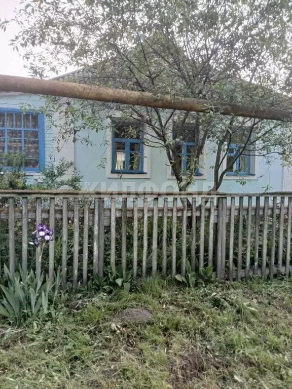 Дом в Белгородская область, Яковлевский муниципальный округ, с. ... - Фото 1