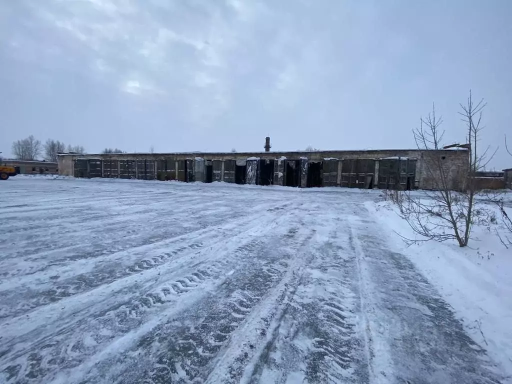 Помещение свободного назначения в Новосибирская область, Бердск ... - Фото 1