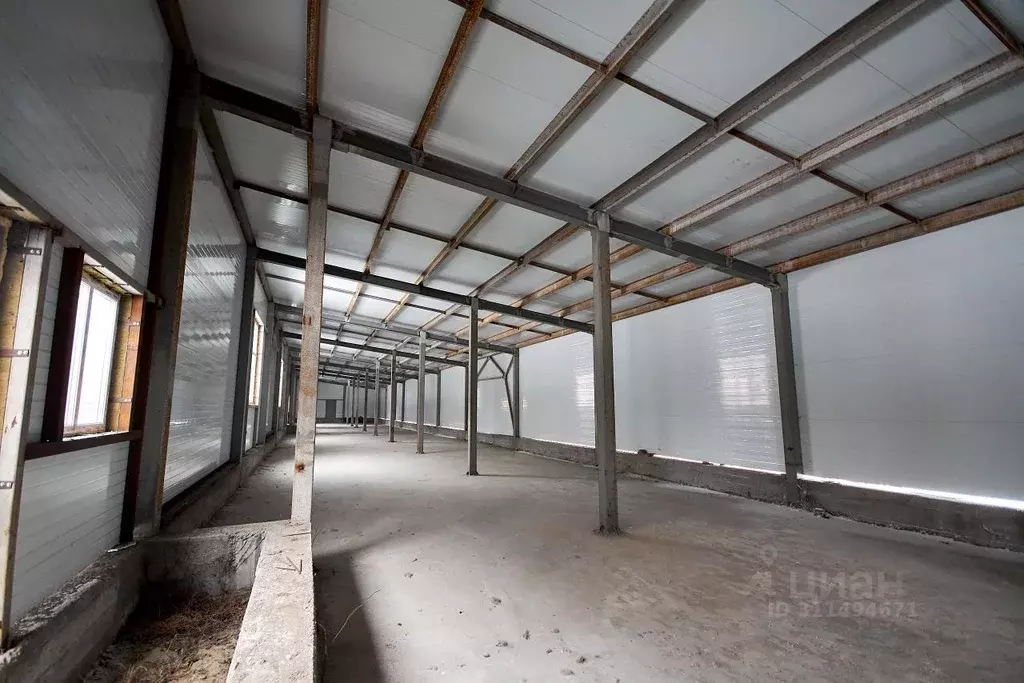 Торговая площадь в Новосибирская область, Новосибирск ул. Кочубея, 4/3 ... - Фото 2