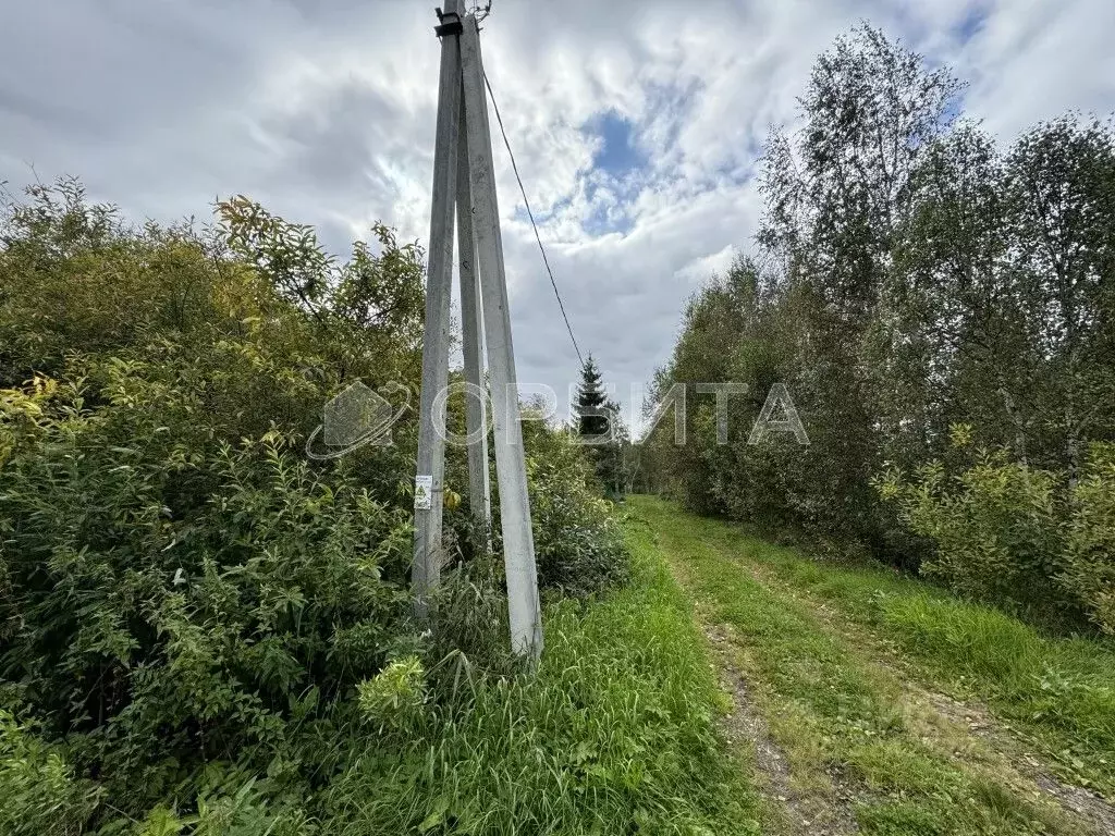 Участок в Тюменская область, Нижнетавдинский муниципальный округ, ... - Фото 1