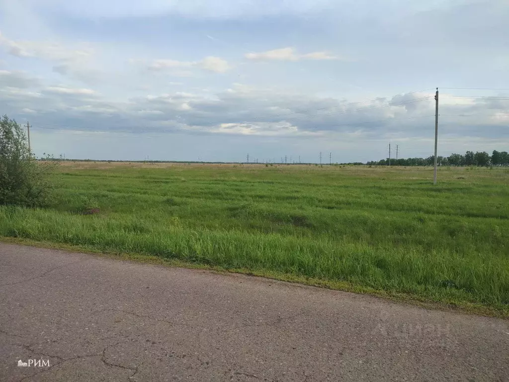 Участок в Самарская область, Красноярский район, Большая Каменка ... - Фото 1