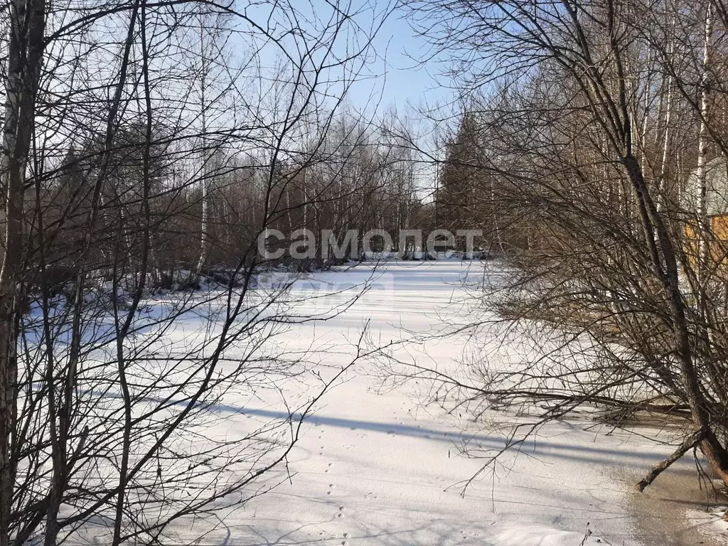 Участок в Владимирская область, Александровский район, Следневское ... - Фото 1