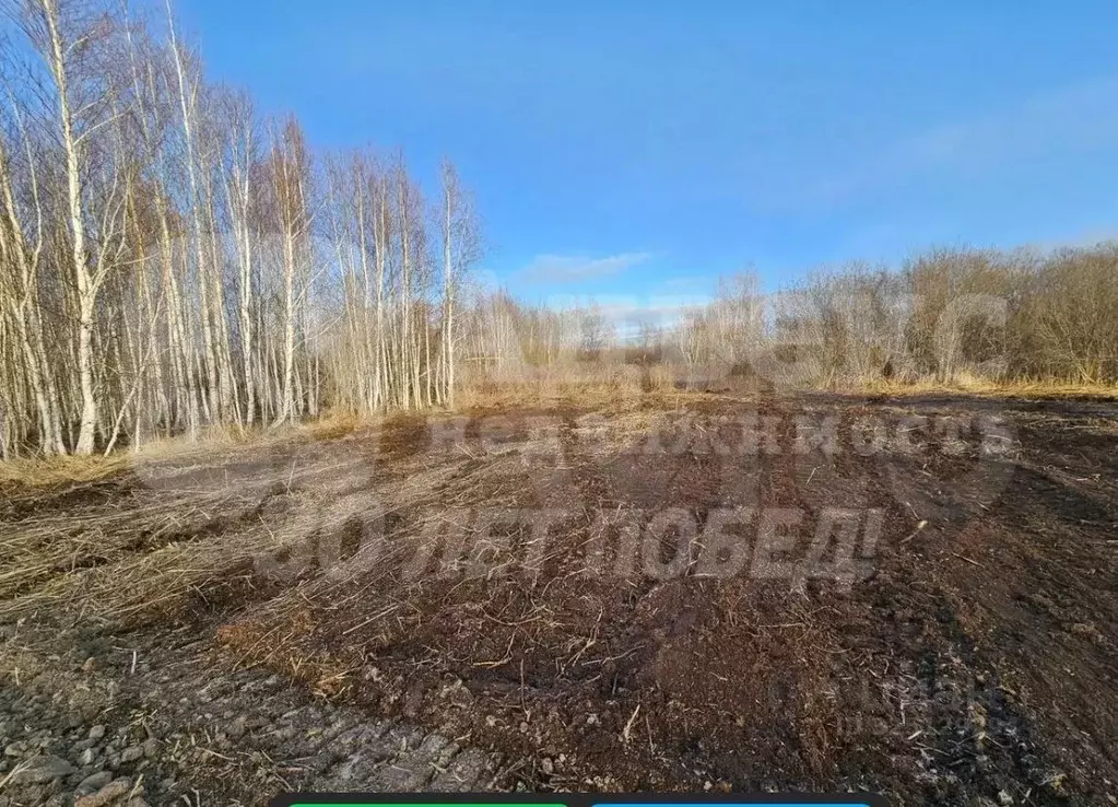 Участок в Тюменская область, Нижнетавдинский муниципальный округ, ... - Фото 1