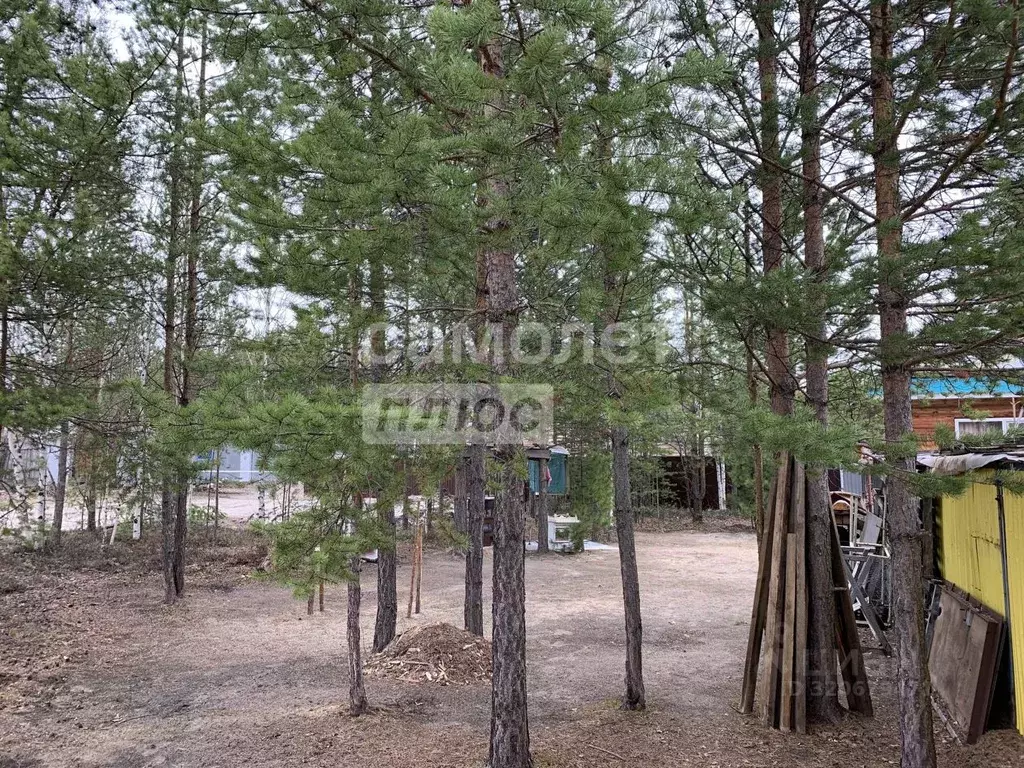 Участок в Ханты-Мансийский АО, Сургутского муниципального района тер., ... - Фото 0