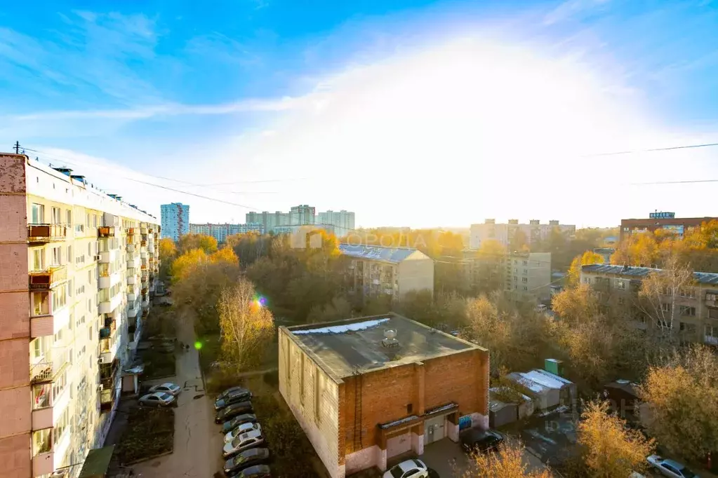 1-к кв. Новосибирская область, Новосибирск ул. Петухова, 148 (40.3 м) - Фото 1