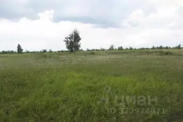 Участок в Самарская область, Тольятти Южное ш. (4500.0 сот.) - Фото 1