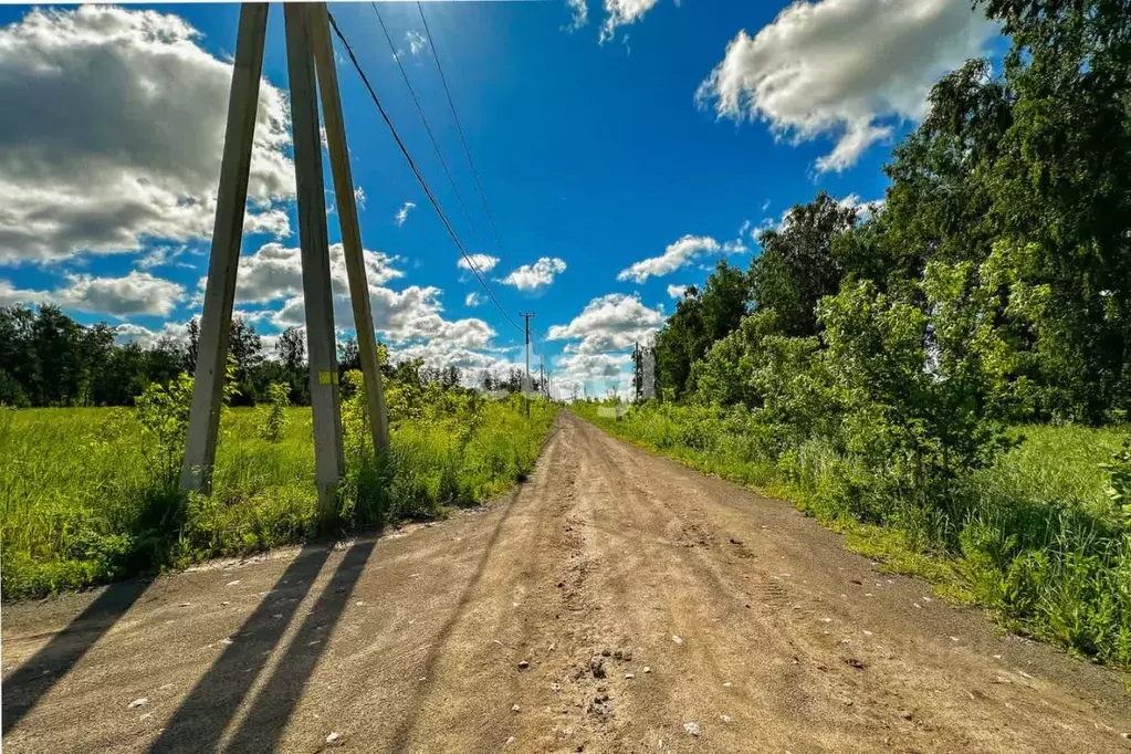 Участок в Новосибирская область, Бердск ул. Ясная (10.0 сот.) - Фото 0