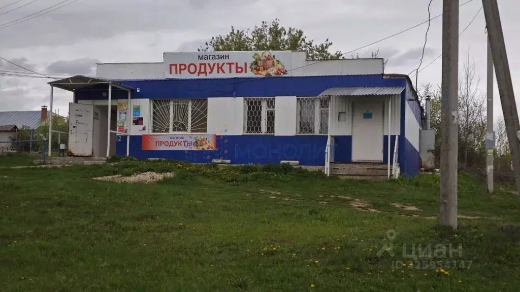 Торговая площадь в Нижегородская область, Нижний Новгород с. ... - Фото 1