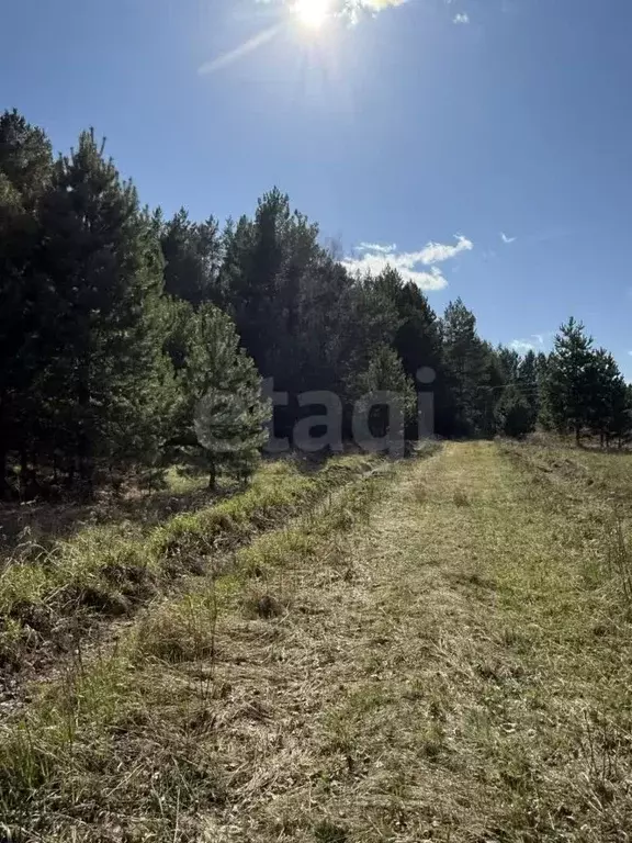 Участок в Тюменская область, Тюменский муниципальный округ, д. ... - Фото 1