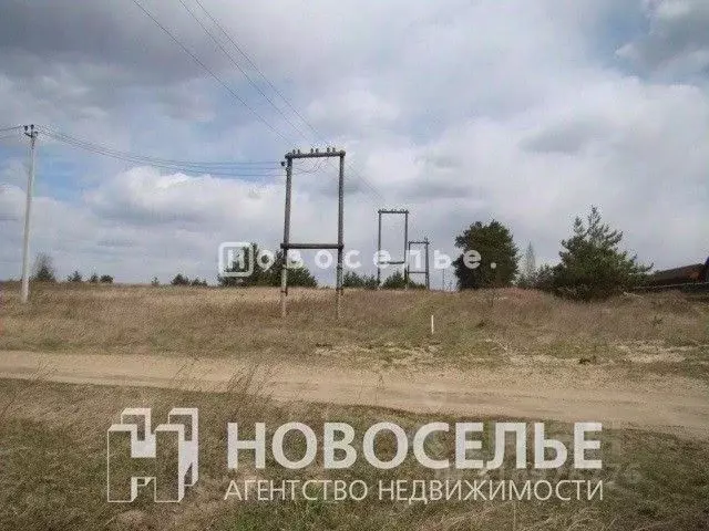 Участок в Рязанская область, Рязанский район, Дубровическое с/пос, с. ... - Фото 1