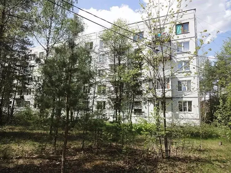 2-к кв. Владимирская область, Костерево Петушинский район, Костерево-1 ... - Фото 2