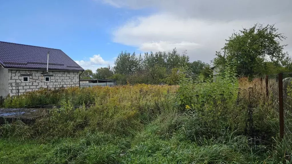 Участок в Калининградская область, Гурьевск Клубничка СНТ, ул. ... - Фото 1