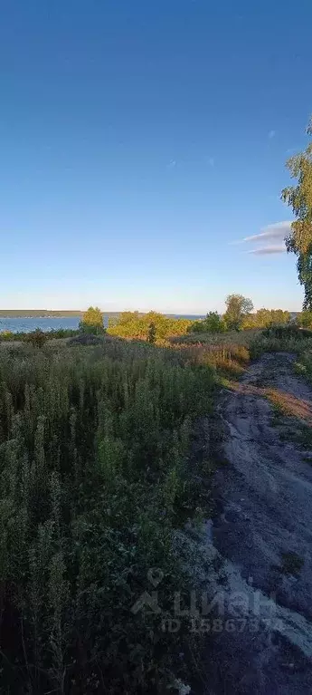 Участок в Пензенская область, Пензенский район, Засечный сельсовет  ... - Фото 1