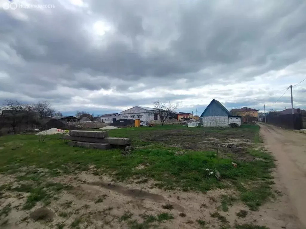 Участок в село Толмачево, СДТ Мир, 436 (5 м) - Фото 1