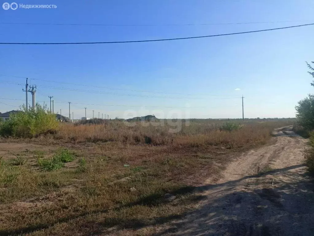 Участок в Энгельсский район, Новопушкинское муниципальное образование, ... - Фото 2