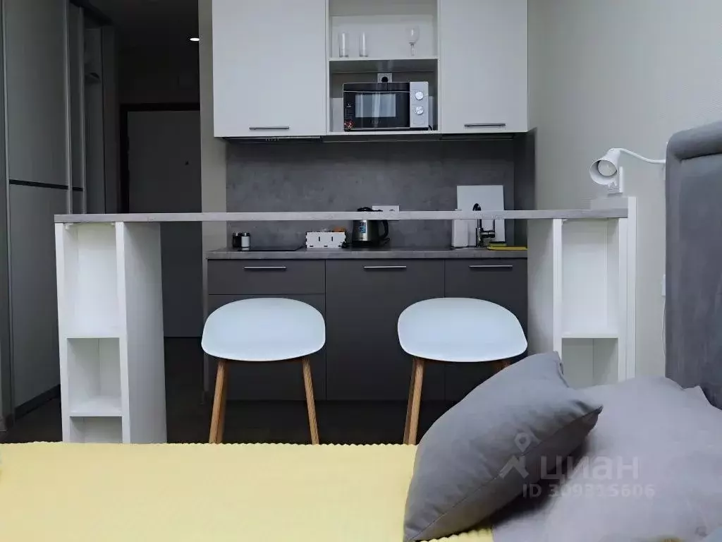 1-к кв. Санкт-Петербург Витебский просп., 99к1 (27.0 м) - Фото 2