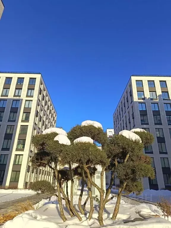 1-к кв. Санкт-Петербург Петровский просп., 28к2 (43.0 м) - Фото 2