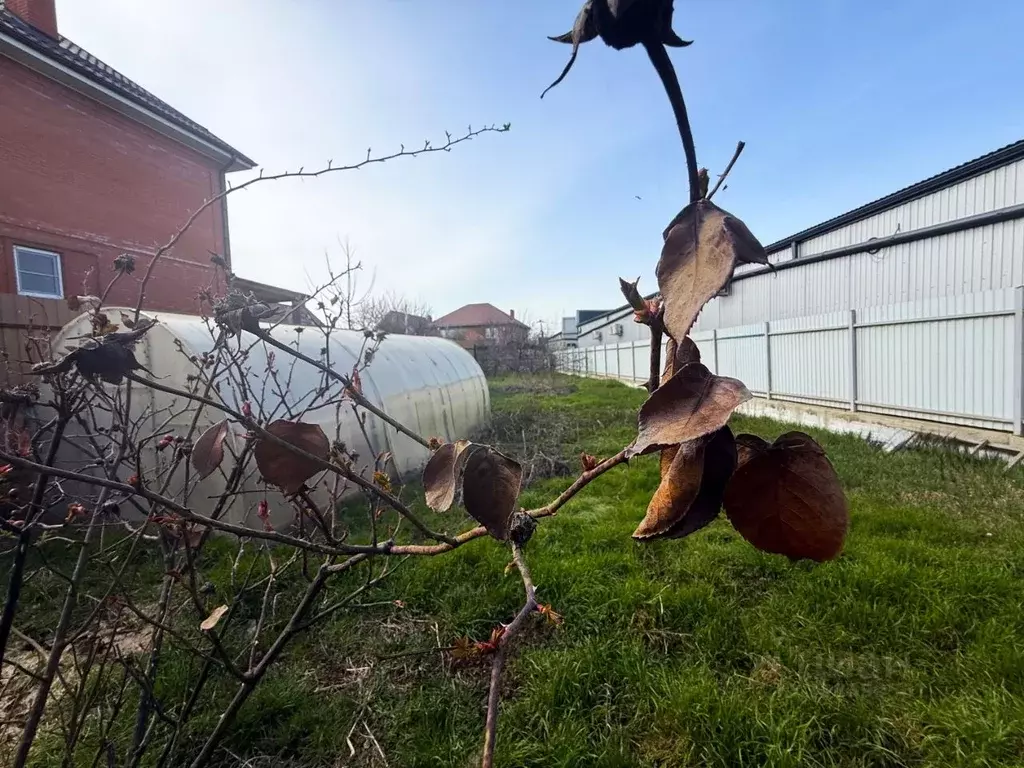 Участок в Краснодарский край, Краснодар Сады Калинина мкр, ул. Ямская ... - Фото 2